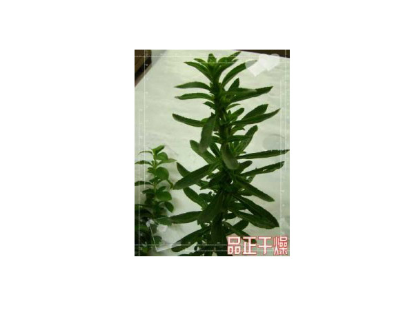 某甜菊糖企業選用品干牌設備